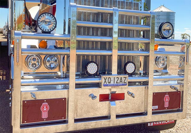 Professional vehicle detailing examples