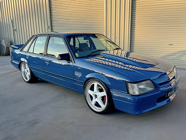 Professional vehicle detailing examples