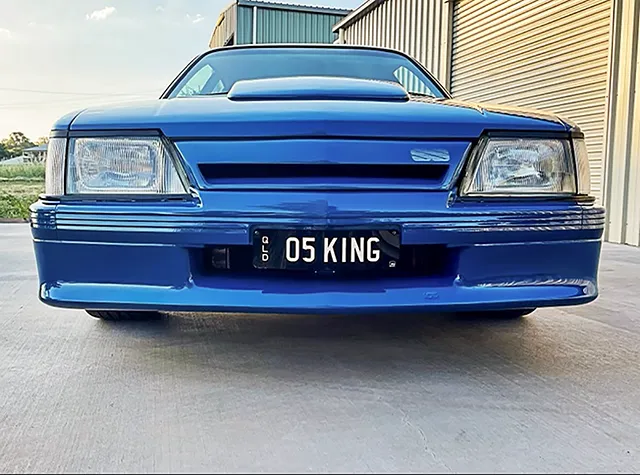 Professional vehicle detailing examples